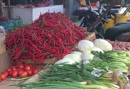 Pemprov Riau akui lonjakan harga cabai berdampak ke inflasi (foto/int)